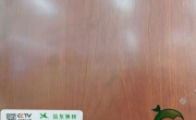 什么是板？