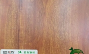 板的特點(diǎn)有哪些你知道嗎？